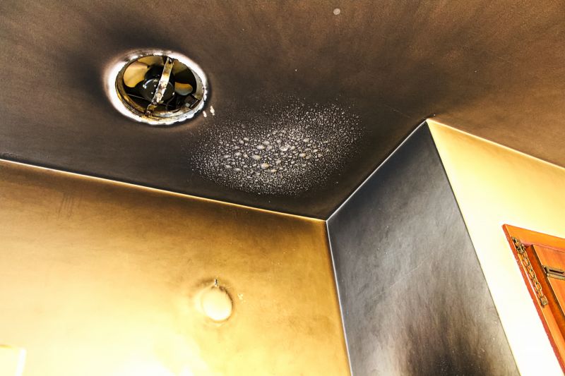 Historical Ceiling Restorations