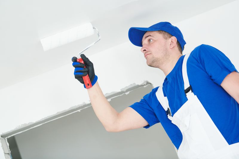 Ceiling Painting - Ceiling Painting Champlin, Minnesota